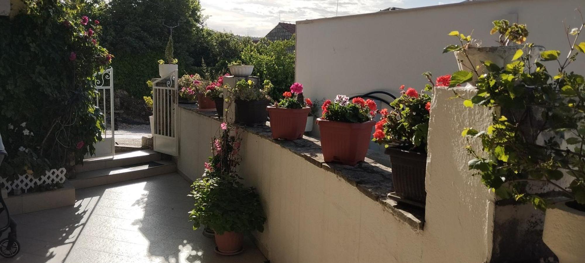 Apartment Maskaric Cavtat Eksteriør billede